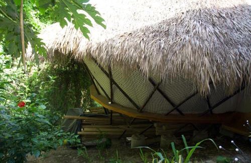 Playa El Coco Cabin | The Sanctuary Wellness Resort