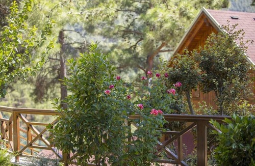 Spilia Ski Chalet | Three charming log cabins in a gated property at the beautiful Troodos mountain r