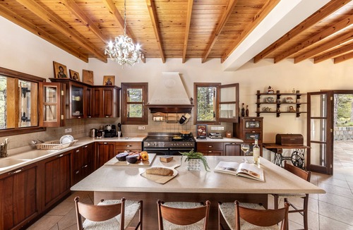 Pedhoulas Villa | Troodos Mature Pine Chalet
