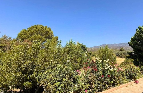 Trimiklini House | Troodos View Garden House - Trimiklini