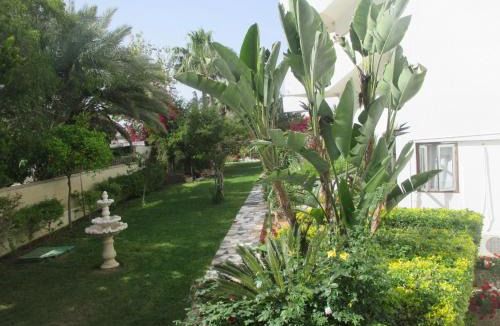 Pyla Apartment | Tsialis Hotel Apartments