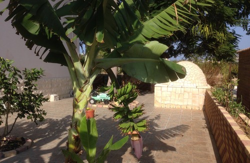 Ayia Marina Chrysochous Apartment | Two Bedrooms Apartment First floor 110 square meters, 50 meters near the sea