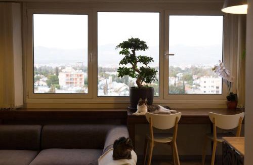 Nicosia Apartment | Vas' Penthouse
