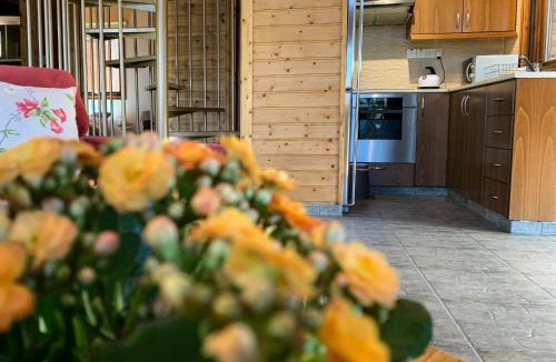Vasa Koilaniou House | Vasiliou House Krimenos