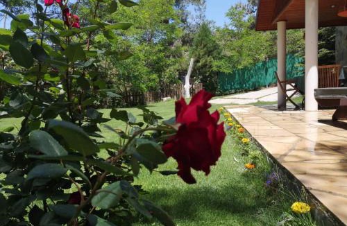 Platres Villa | VILLa ENRIETTe - Panoramic Mountain Retreat in Pano Platres, Cyprus