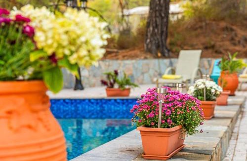 Platres Villa | VILLa PENELOPE PLATRES