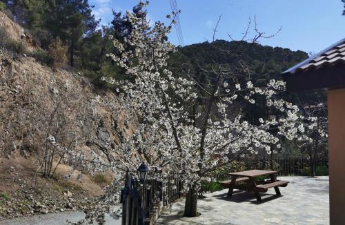Platres Villa | VILLa PERSEPHONE