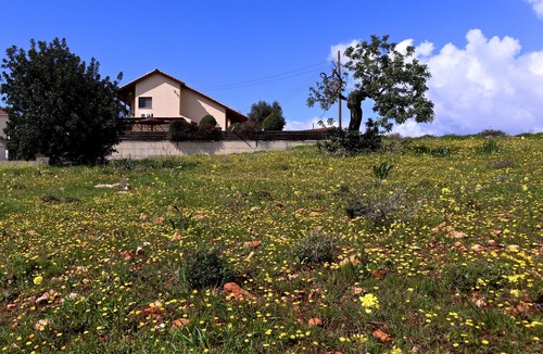 Pissouri Villa | Villa with private pool, sea view, 3 bedrooms, 4 bathrooms, Pissouri, Cyprus