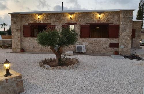 Geroskipou Villa | Villa Yioukkas
