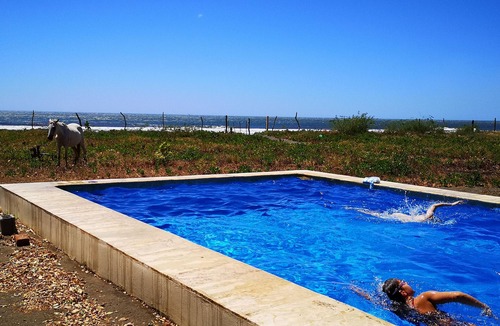 Leon House | WATERFRONT ESCAPE WITH AMAZING POOL!