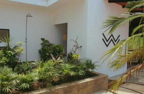 Popoyo Hotel | Waves & Wifi - Coworking & Coliving Space in Popoyo