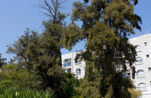 Agios Tychon Apartment | White Arches Sea View Apt No 1