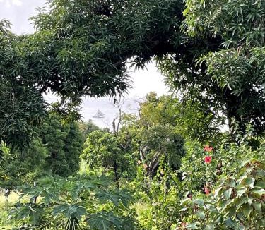 Little Corn Island House | Wonderland on Little Corn Island