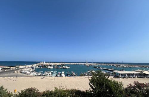 Zygi Apartment | Zygi Beachfront Retreat!