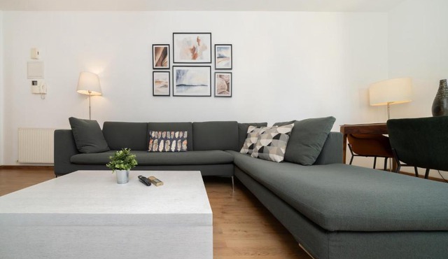 1 bedroom flat in city center