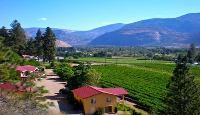 1 BR guest house overlooking a beautiful vineyard in oliver