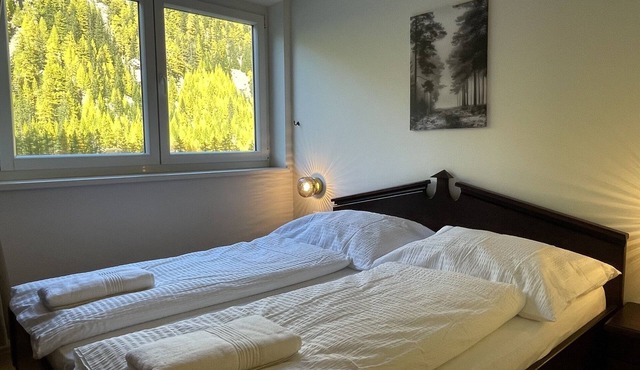 "2-Bedroom Apartment (ZW 7) at the International House Soelden" in Zwieselstein