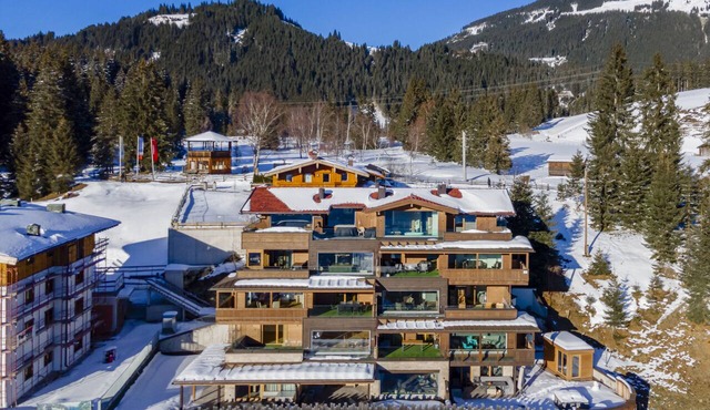 Accommodation with sauna near the ski lift in Mittersill