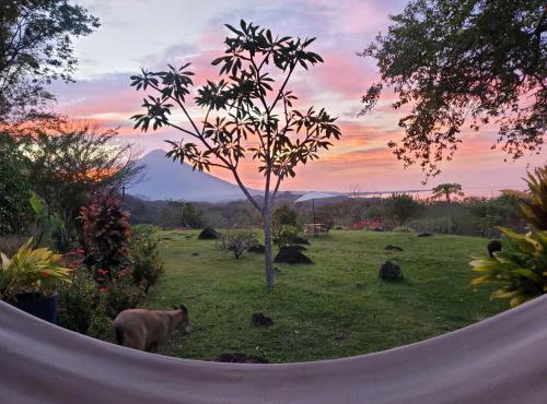 Ananda Guesthouse in Balgue