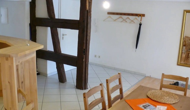 Apartment 'Mehlsack' with Private Terrace and Shared Garden in Salem