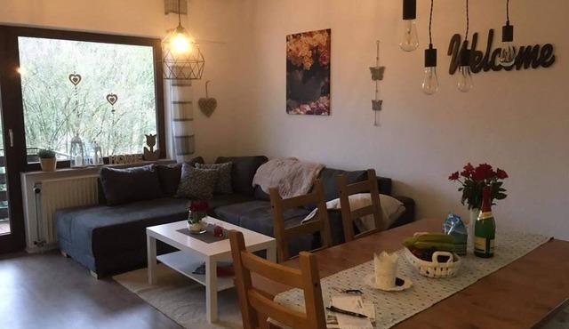 Apartment Talblick, 53sqm 2 bedrooms. 1 living room/bedroom, max. 4 persons in Medebach