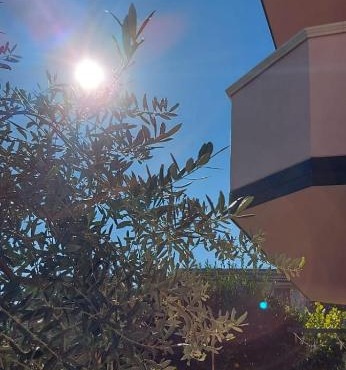 Appartamento L'Ulivo in Brancaleone Marina