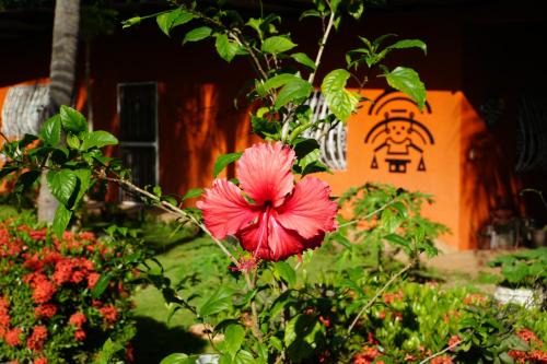 Chakana Yoga Homestay in Managua