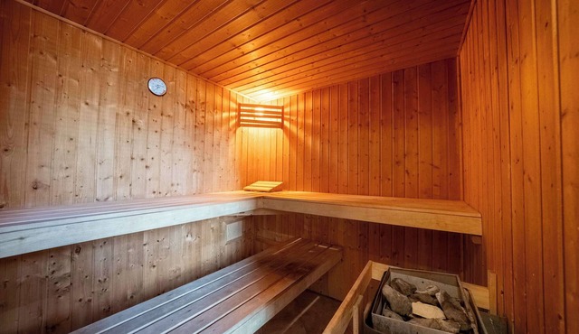 Chalet Hochlocken | Sauna | Kitchen | Ski-in/out in Ebensee