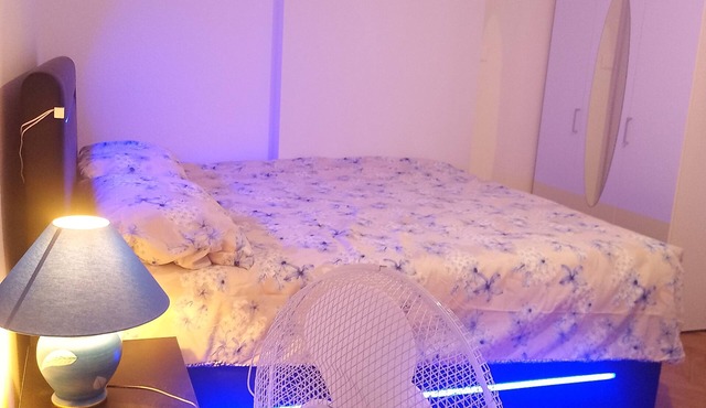 Charming flat center and near the lake in Genève
