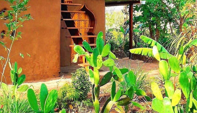 Ecolodge in the jungle with view of the volcanoes - authentic experience in Santa Cruz