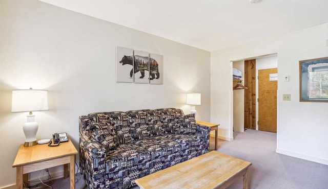 Efficiency with Sleeper Sofa only 121 in Killington