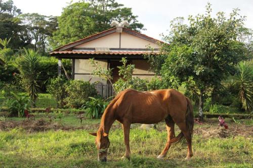 Finca Lindos Ojos in Estelí