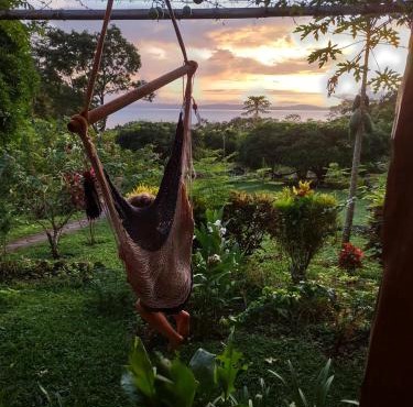 Finca Mystica in Ometepe
