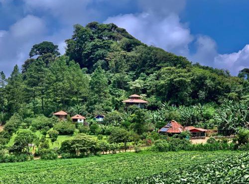 Finca Neblina del Bosque in Estelí