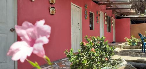 Guest House Nena in Moyogalpa
