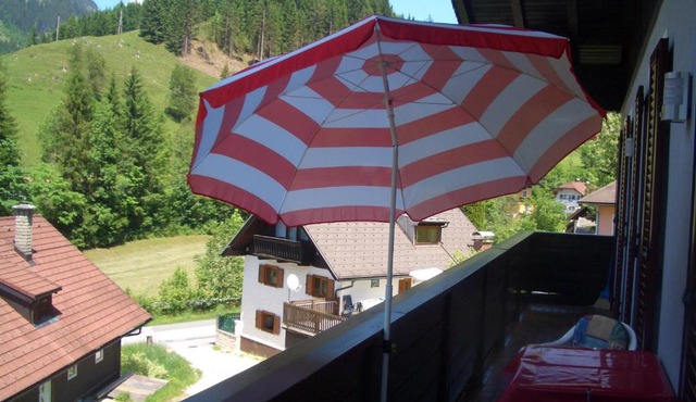 Haus Ortner in Russbach am Pass Gschütt