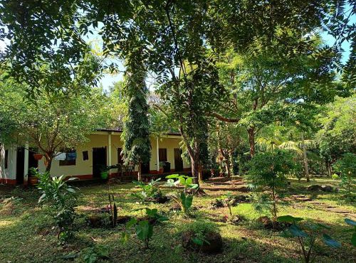 Holy Spirit Hostel Ometepe in Santa Cruz