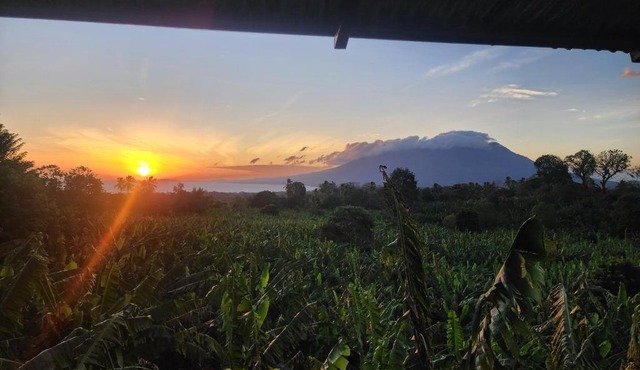 Hostal Bullshark in Managua