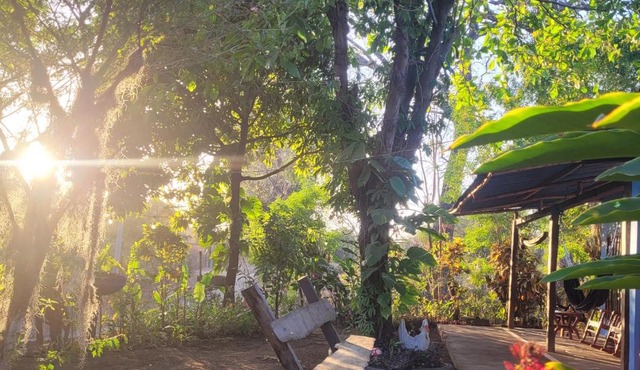 Hostal Xilotl in San José del Sur