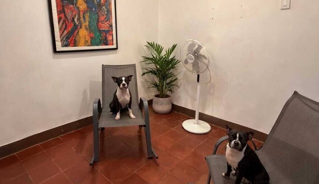 HOUSE IN GRANADA WITH A/C PETS WELCOME in Granada