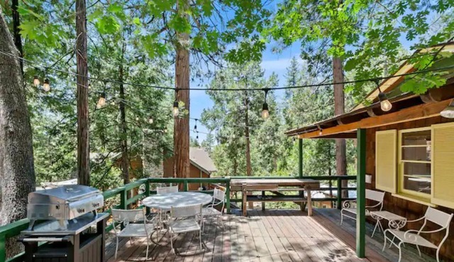 IdyllAway Vintage Cabin - Kid Friendly Cul-de-Sac! in Idyllwild-Pine Cove
