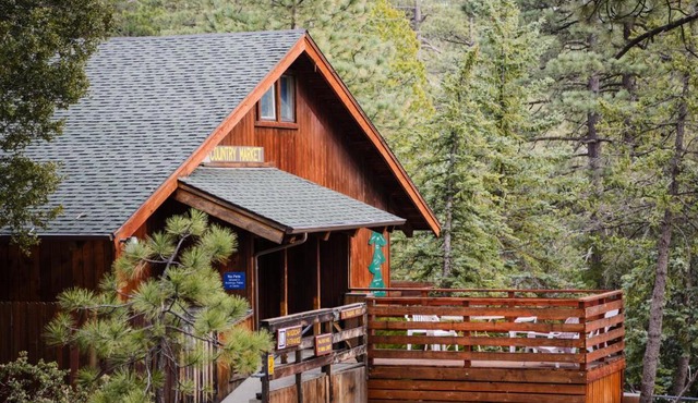 Idyllwild Camping Resort Cabin in Idyllwild