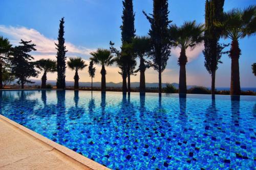 Incredible Large Villa In Paphos sleeps 14 Children Pool, Jacuzzi, Huge Garden in Polis Chrysochous