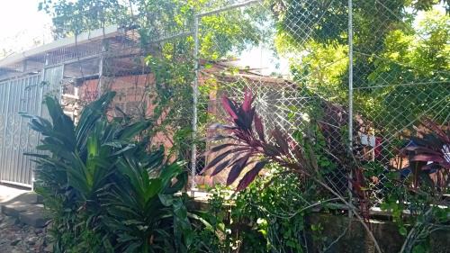 Isi's Guest House in Granada