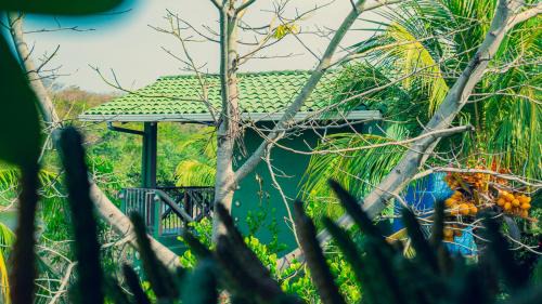 Jardin Secreto in El Viejo