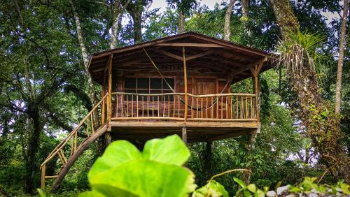 Jungle Cabins El Escondido in Muy Muy