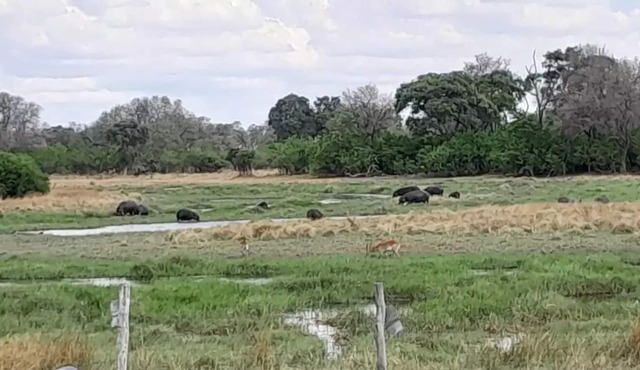 Kwhai River Haven in Kwhai