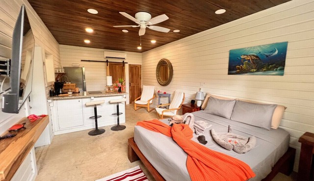 La Vida Belize Studio an Affordable Property Just steps from the Beach in Riversdale