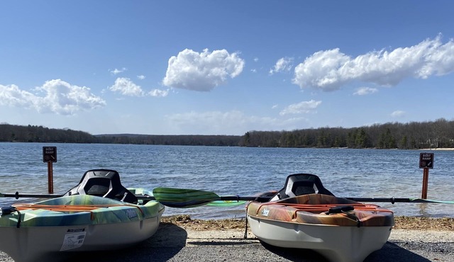 Lake + Pool Access! Playroom, Game Room, Fire Pit + Finished Basement in Jim Thorpe