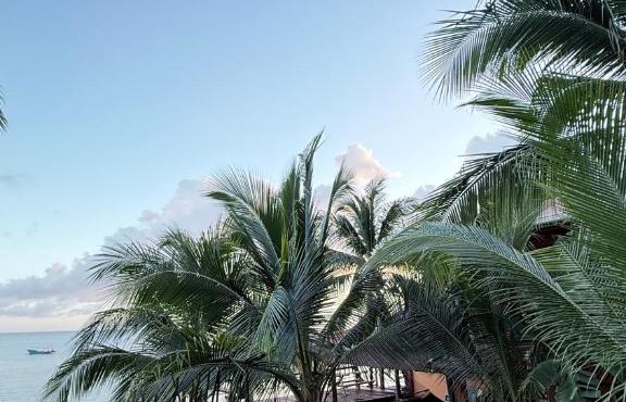 Las Palmeras OceanView Hotel and Dive Center in Little Corn Island